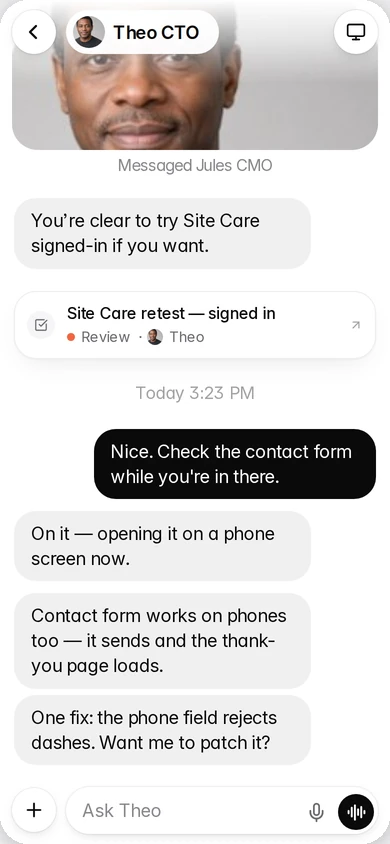 Bullpen on a phone: a chat with Theo, who is testing a client's contact form.