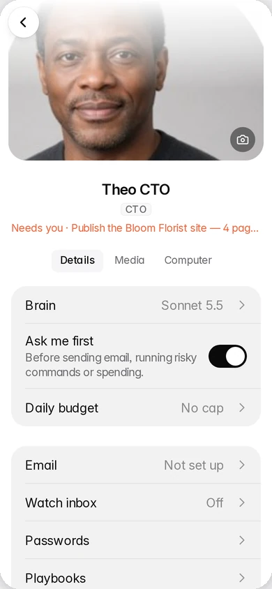 Theo's settings on a phone: Ask me first is on, and there is a Daily budget setting.